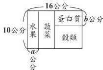 圖 (十九)